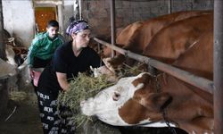 Üniversite mezunu oğluyla baktığı hayvanların sütünden üretim yapıyor