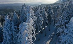 Ilgaz Dağı'nda karla kaplı ormanlara güneş eşlik etti