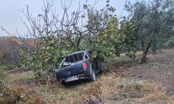 Mevsimlik işçileri taşıyan kamyonet ağaca çarptı: 1 ölü, 7 yaralandı