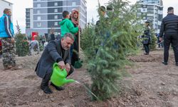 Sincan’da milli ağaçlandırma gününe özel etkinlik