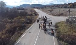 Isparta'da yılkı atları görüntülendi