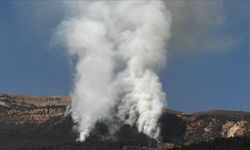 Kahramanmaraş'ta çıkan orman yangınına müdahale ediliyor