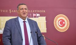 Gürer: 2024 emekli için sürünme yılına dönüştü