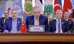 Erdoğan: Terörden arındırılmış bir Suriye'nin inşası en samimi beklentimizdir