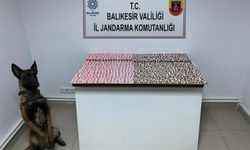 Balıkesir'de 7 bin 761 adet sentetik ecza hap ele geçirildi