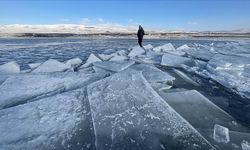 Kars ve Ardahan'da göletler dondu, Tunceli'de bitkiler kırağıyla kaplandı