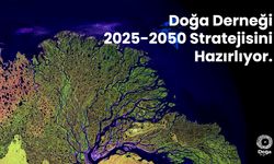 Doğa Derneği, ortaklarıyla birlikte 2025-2050 stratejisini hazırlıyor