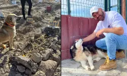 Yangında ölen hayvanseverin köpekleri sahiplendirildi