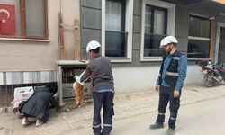 Erdek'te trafoya giren kedi öldü; bölgede kısa süreli elektrik kesintisi yaşandı