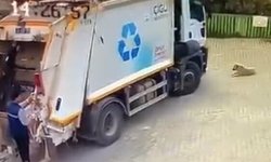 Çöp kamyonu, sokakta oturan köpeği ezerek öldürdü