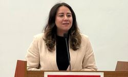 CHP'li Çağlar: "Kadınlar sandıkta tarih yazacak!"