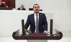 Başevirgen: Sokağın gerçeği açlık borç ve iflas