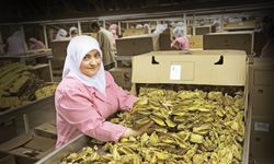 EİB Nisan ayında 1.5 milyar dolarlık ihracat gerçekleştirdi