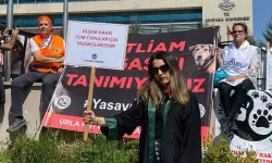 Hayvanseverlerden, AYM önünde 'Hayvanları Koruma Kanunu' nöbeti