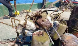 Bodrum’da denizden 50 ton katık çıkartıldı