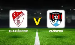 Elazığspor hükmen yenik sayıldı, Van Spor FK finale çıktı