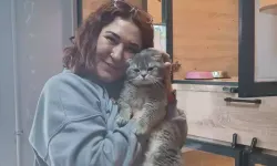 Veteriner hekim sokak hayvanlarını tedavisini yapıp sahiplendiriyor