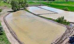 Kızılcahamam’da çeltik ekimi yapıldı