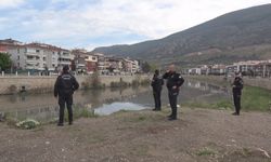 Amasya'da, Yeşilırmak'ta balık ölümleri meydana geldi