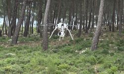 Bodrum'da orman yangınlara karşı dronlu önlem