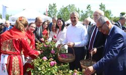 Edirne gülü, törenle hasat edildi