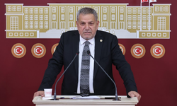 CHP’li Ocaklı: Hükümet çay üretiminden vaz mı geçti?