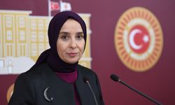 Cezaevlerinde doluluk alarmı