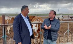 Gürer: Süt üreticisinin durumu vahim