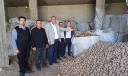 Gürer: Patatesler hayvan yemi oldu