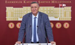 Gürer: Hayvancılıkta hastalıklar neden önlenemiyor?