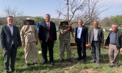 Gürer: Arıcılıkta en önemli sorunlardan biri sahte bal