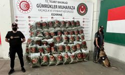 Gümrüklerde 418 milyon liralık uyuşturucu ve kaçak eşya ele geçirildi