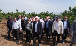 TZOB Genel Başkanı Bayraktar, Eskişehir'de zirai dondan etkilenen kiraz bahçelerini inceledi
