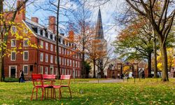 Harvard Üniversitesi, Trump yönetimine dava açtı