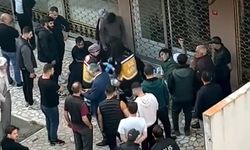 İnternet kafede kavga: 2 yaralı