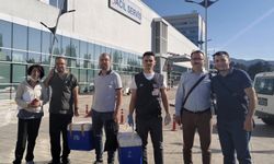 Kazadan 9 gün sonra beyin ölümü gerçekleşen Mustafa'nın organları umut oldu