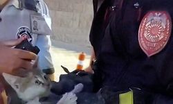 Otomobilin motor bölümüne giren yavru kedi 4 saatte kurtarıldı