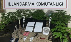 Metruk binada Hint keneviri yetiştiren üniversiteliye gözaltı