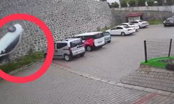 Ordu'da istinat duvarından site bahçesine düşen otomobilin sürücüsü öldü