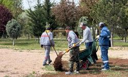 Sincan parkları yaza hazırlanıyor
