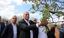 TZOB Genel Başkanı Bayraktar: Tarihin en büyük iklim afetlerinden birini yaşıyoruz