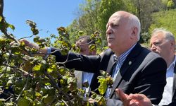 TZOB Genel Başkanı Bayraktar: Zirai donda yüzde 70 ile yüzde 100’ler mertebesinde hasar var