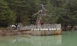Gümüşhane'deki Limni Gölü'nde turizm sezonu başladı
