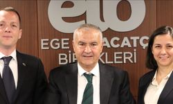 Zehirli incirler enerjiye dönüştürülmesi ödül getirdi