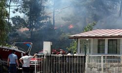 Muğla'da çıkan yangın kontrol altına alındı