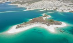 Adıyaman'ın martılara özel adası