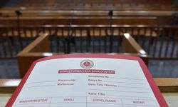 Kayınvalide ve birlikte kaçtığı damat adayına çeşitli suçlardan hapis cezası verildi