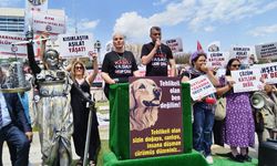 Ankara'da Hayvan Hakları Savunucuları Kısırlaştırma Yasasını Protesto Etti