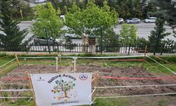 Öğrenciler sürdürülebilir yaşamın peşinde