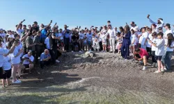 Uydu izleme cihazı takılan "Flora" ve "Fauna" adlı caretta carettalar denize bırakıldı